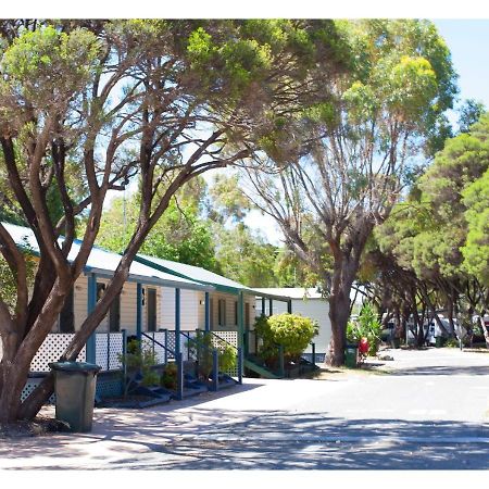 Discovery Parks - Coogee Beach Exterior foto